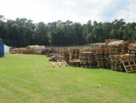 Veel hout
